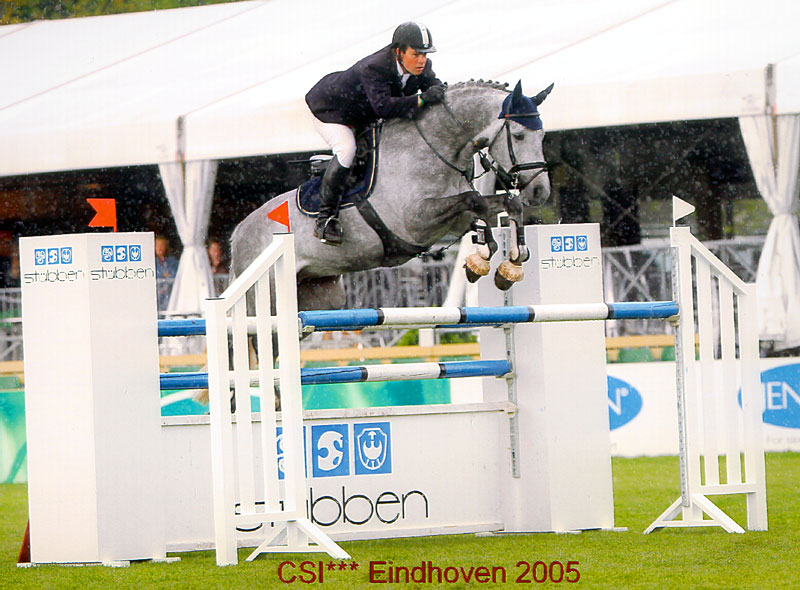 http://www.show-jumper.co.uk/showjump/Cappi-Eindhoven-Oxer.jpg